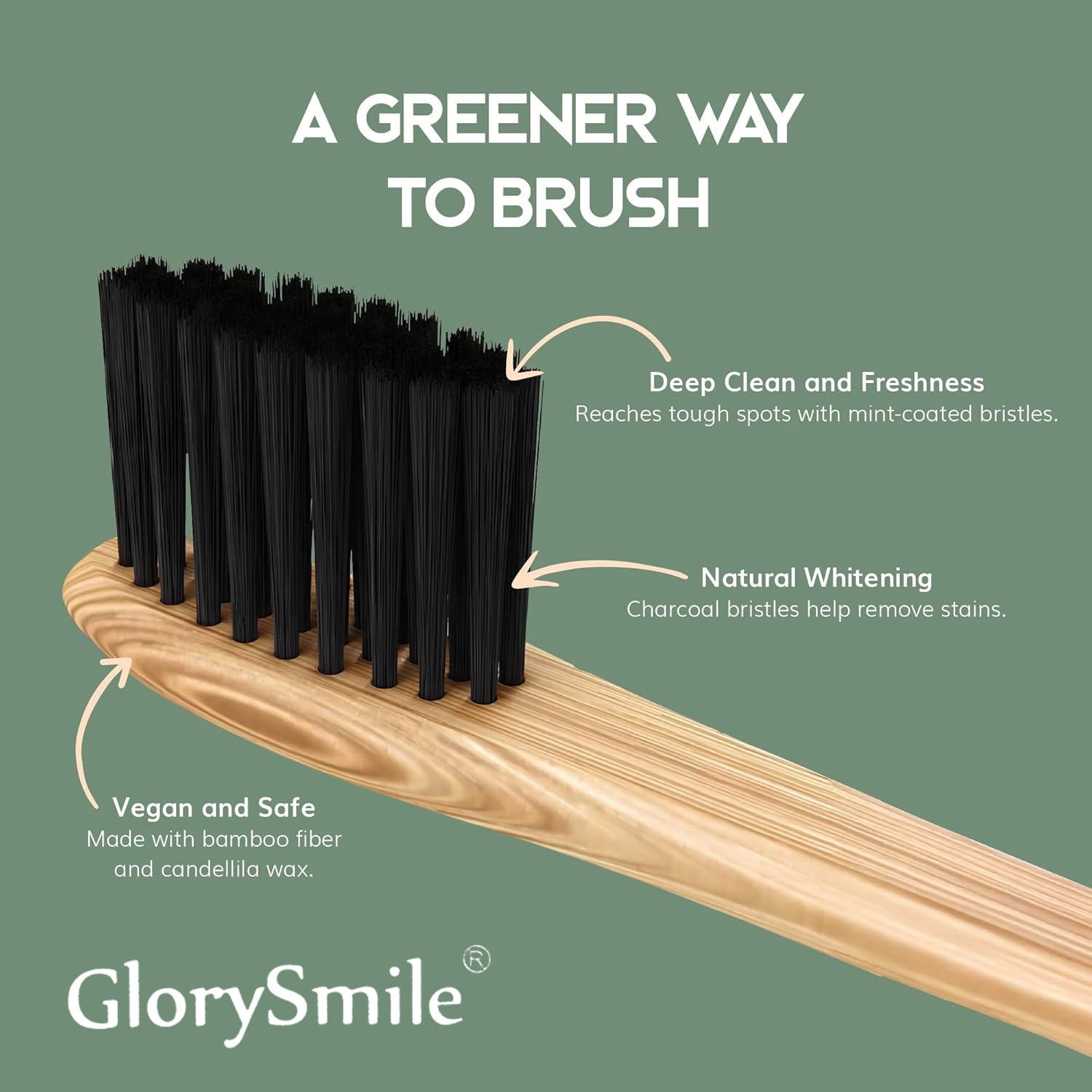 大人用竹製歯ブラシ – 炭入りの柔らかい毛が付いた木製歯ブラ - Bamboo Toothbrush のレビューと価格