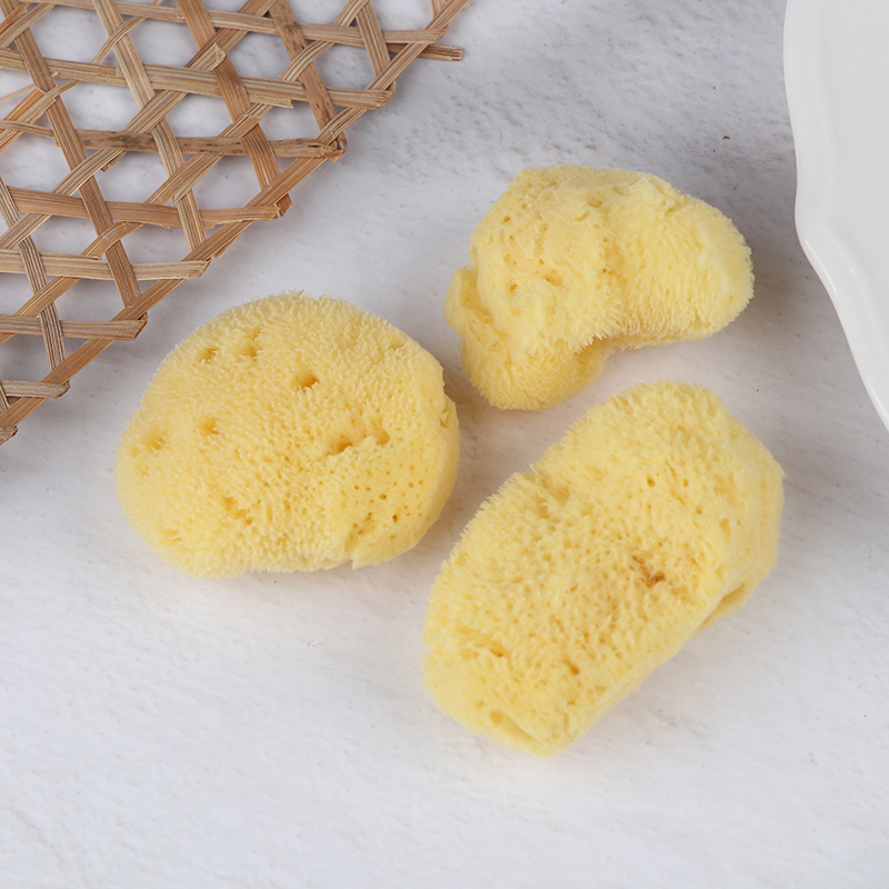 特別な質感の生産クリーニングツール天然ギリシャスポンジ水彩画 - Eco Sponge のレビューと価格