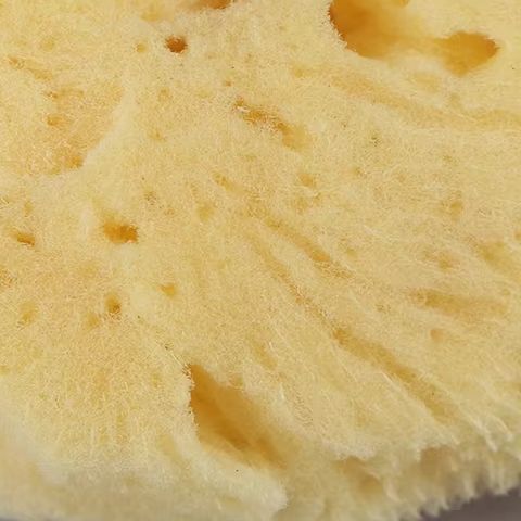特別な質感の生産クリーニングツール天然ギリシャスポンジ水彩画 - Eco Sponge のレビューと価格