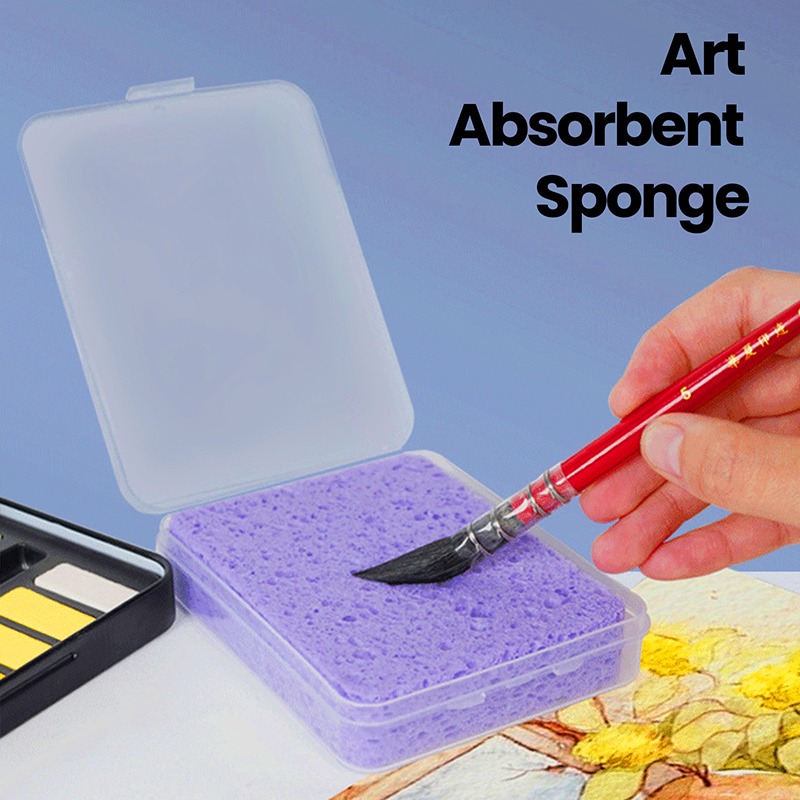 箱入り水彩顔料絵画クリーニングスポンジ吸水絵画スポンジ水彩絵 - Eco Sponge のレビューと価格