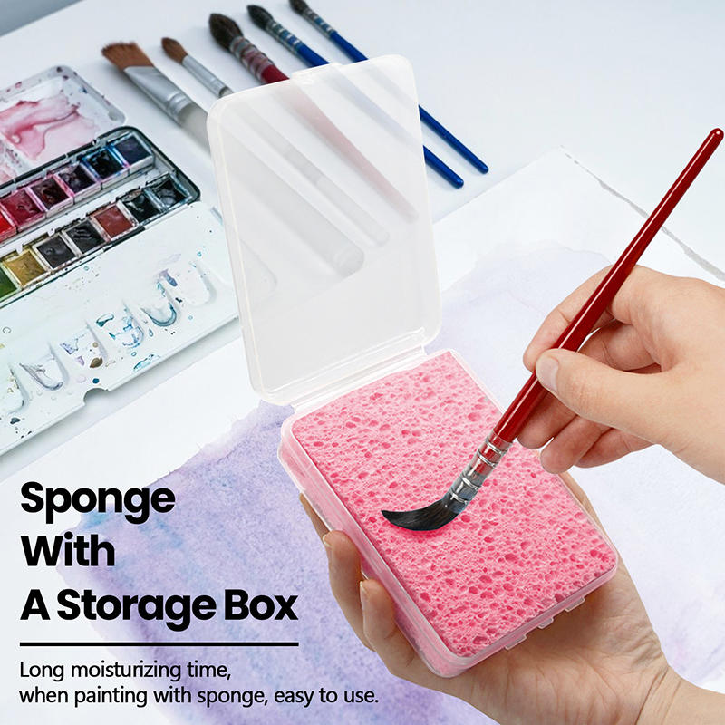 箱入り水彩顔料絵画クリーニングスポンジ吸水絵画スポンジ水彩絵 - Eco Sponge のレビューと価格