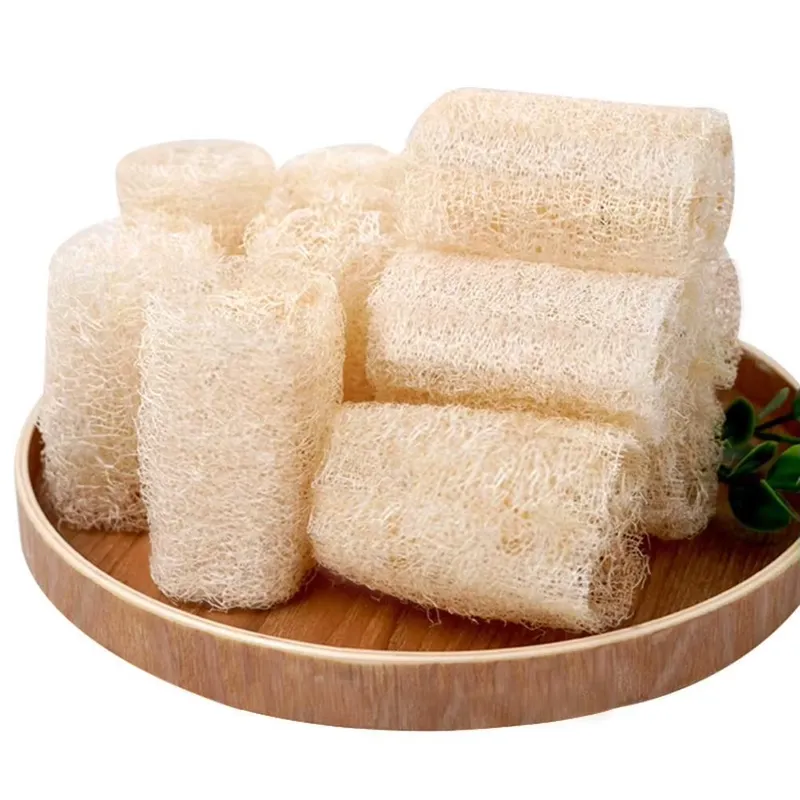 2026年最新 天然ヘチマスポンジ食器洗いブラシ 環境に優し - Eco Sponge のレビューと価格